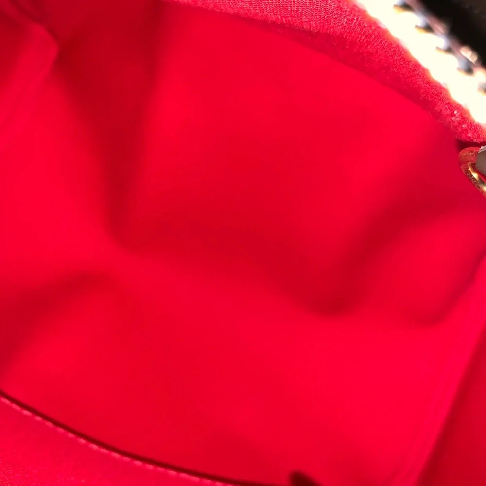 Louis Vuitton classic louis